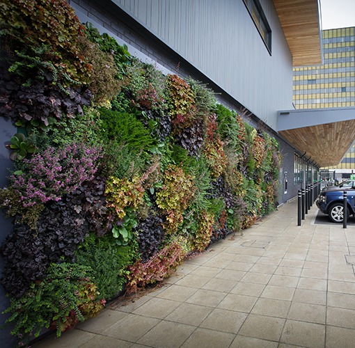 GreenWall_Outdoor_01.jpg